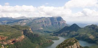 الاقتصاد الأخضر في أفريقيا فرصة للحفاظ على ثرواتها الطبيعية