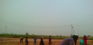 تحويل مقلب قمامة لمشتل فاكهة في مصر