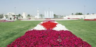 بلدية دبي توزع الزهور على مديري الجهات الحكومية