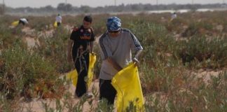 إعداد اتفاقية تعاون جزائرية-فرنسية حول حماية البيئة