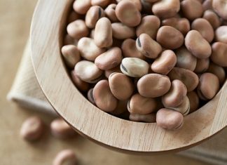 استنباط 30 نوعاً جديداً من الفول “لحم الفقراء”