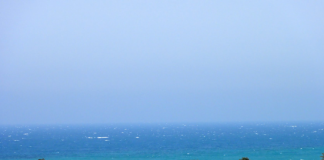 مصر تعتمد خطة لتطوير محميات جنوب سيناء