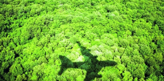 طيران الإمارات تخصص 150 ألف دولار لدعم مبادرة «مستقبل أخضر»