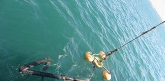 مصر: الإبلاغ عن تلوث بيئي في خليج السويس