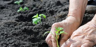 أنقذوا تربتنا