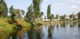 منظمة اليونيسكو تدعو لإنقاذ بحيرة مكسيكية