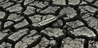 جنوب كاليفورنيا يشتري دلتا نهر لتخفيف أزمة الجفاف