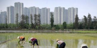 تردي مستويات التلوث بزراعات الصين