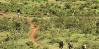 مقايضة زراعة الأشجار في كينيا مقابل الدجاج والماعز