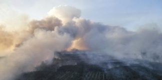 السيطرة على حرائق غابات قرب محطة تشرنوبيل النووية