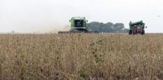 مخاوف بشأن مبيد حشائش تدفع المعامل لاختبار المواد الغذائية