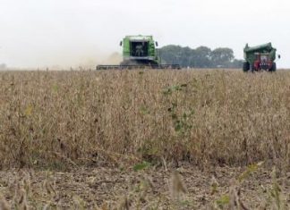 مخاوف بشأن مبيد حشائش تدفع المعامل لاختبار المواد الغذائية