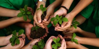 ما السبب وراء أهمية أهداف التنمية المستدامة؟