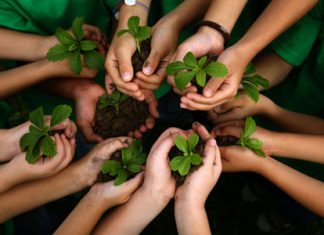 ثورة الاستدامة في الموارد المالية