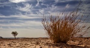 إفريقيا مهددة بالتصحر والجفاف