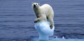 ذوبان جبال الجليد مسؤول عن بطء معدلات دوران الكرة الأرضية