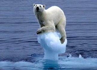 صيف 2040: القطب الشمالي من دون جليد