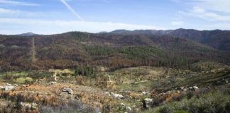 نفوق أكبر فرس نهر في حدائق الحيوان الأميركية