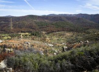 نفوق أكبر فرس نهر في حدائق الحيوان الأميركية