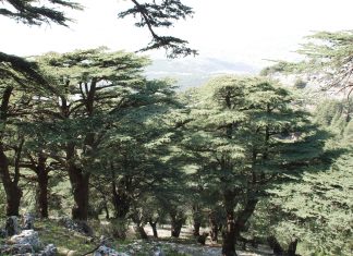 وزير البيئة اللبناني: المحميات الطبيعية أهم الوسائل الوقائية من التدهور البيئي