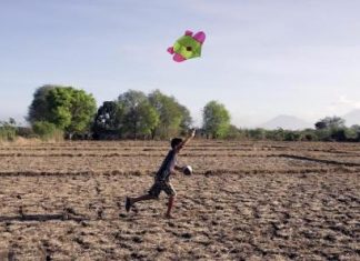 اليابان تعلن ان ظاهرة النينيو ستستمر حتى الشتاء