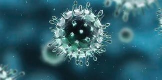 خبراء يحذرون من انتشار “فيروسات جديدة” مع ارتفاع وتيرة تغير المناخ