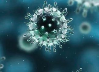 تغير المناخ يؤدي إلى تفشي الأمراض