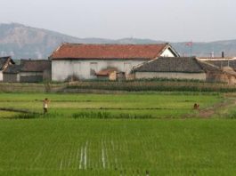 الجفاف يهدد أطفال كوريا الشمالية