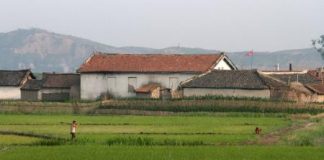 الجفاف يهدد أطفال كوريا الشمالية