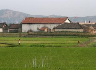 الجفاف يهدد أطفال كوريا الشمالية