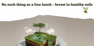 بيئة الإمارات تحتفل باليوم العالمي لمكافحة التصحر والجفاف