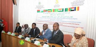 موريتانيا تحتضن مؤتمرا لوزراء البيئة في دول السور الأخضر
