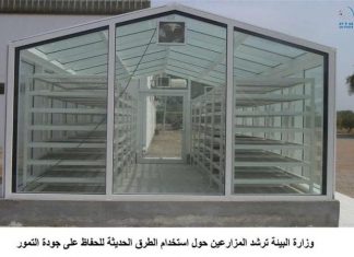 بيئة الإمارات ترشد المزارعين حول استخدام الطرق الحديثة للحفاظ على جودة التمور