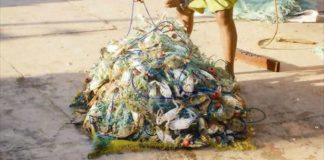 بيئة قطر تتخذ إجراءات مشددة لحماية الثروة السمكية