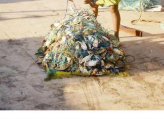 بيئة قطر تتخذ إجراءات مشددة لحماية الثروة السمكية