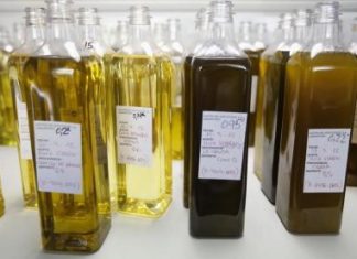 زيت الزيتون البكر الخالص يسهم في خفض السكر والكوليسترول بالدم