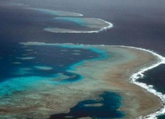 تقرير ينتقد سوء حالة الحاجز المرجاني العظيم