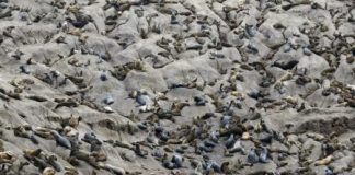 بريطانيا تشير إلى انتهاء فترة هدوء في آثار التغير المناخي