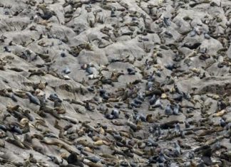 بريطانيا تشير إلى انتهاء فترة هدوء في آثار التغير المناخي