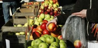 التفاح هو الفاكهة المفضلة للأطفال الأمريكيين