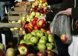 التفاح هو الفاكهة المفضلة للأطفال الأمريكيين