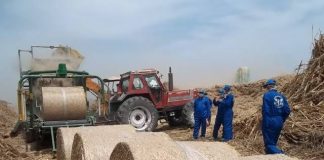 بيئة مصر تنوي توريد الأرز وقشة لحل مشكلة السحابة السوداء