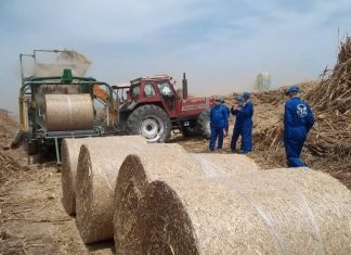 بيئة مصر تنوي توريد الأرز وقشة لحل مشكلة السحابة السوداء