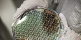 تجارب ألمانيّة لاستخلاص الجرمانيوم من النباتات