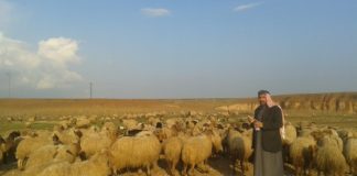 ارتباط الأمن الغذائي بأزمة الهجرة