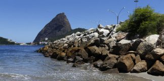 التنبؤ بتغيرات المناخ عبر دراسة الكائنات الحية الدقيقة