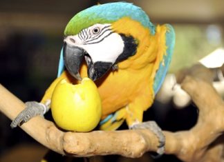 المغرب: تازة تحتضن معرضا تفاعليا للمحافظة على البيئة