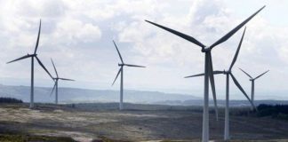 كبيرة علماء البيئة في الأمم المتحدة تنتقد سياسة بريطانيا تجاه الطاقة المتجددة