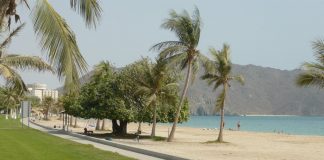 بدء حملة المحافظة على البيئة الجبلية في خورفكان