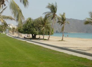 بدء حملة المحافظة على البيئة الجبلية في خورفكان